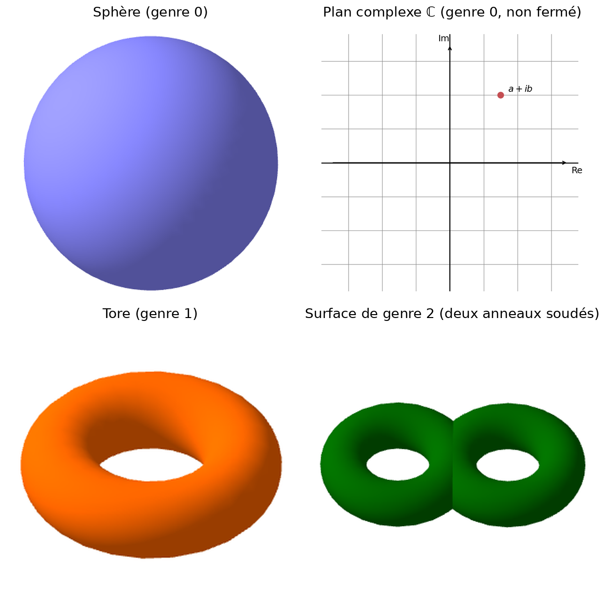 Sphère, plan complexe, tore et surface de genre 2